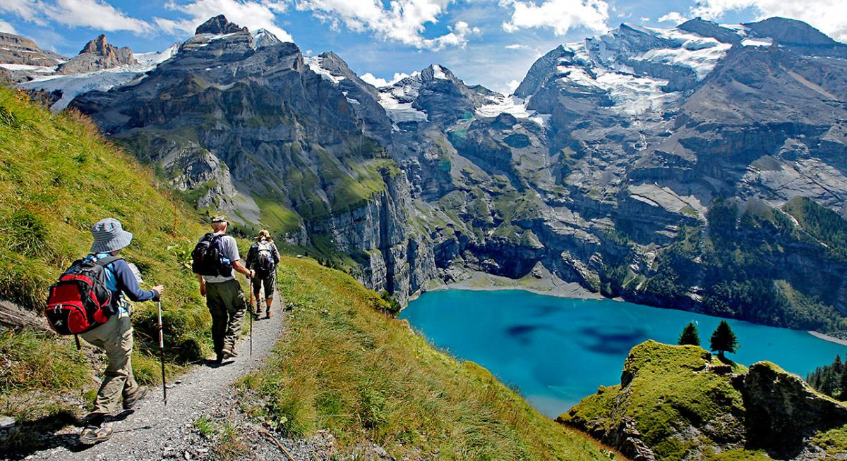 travelgo image