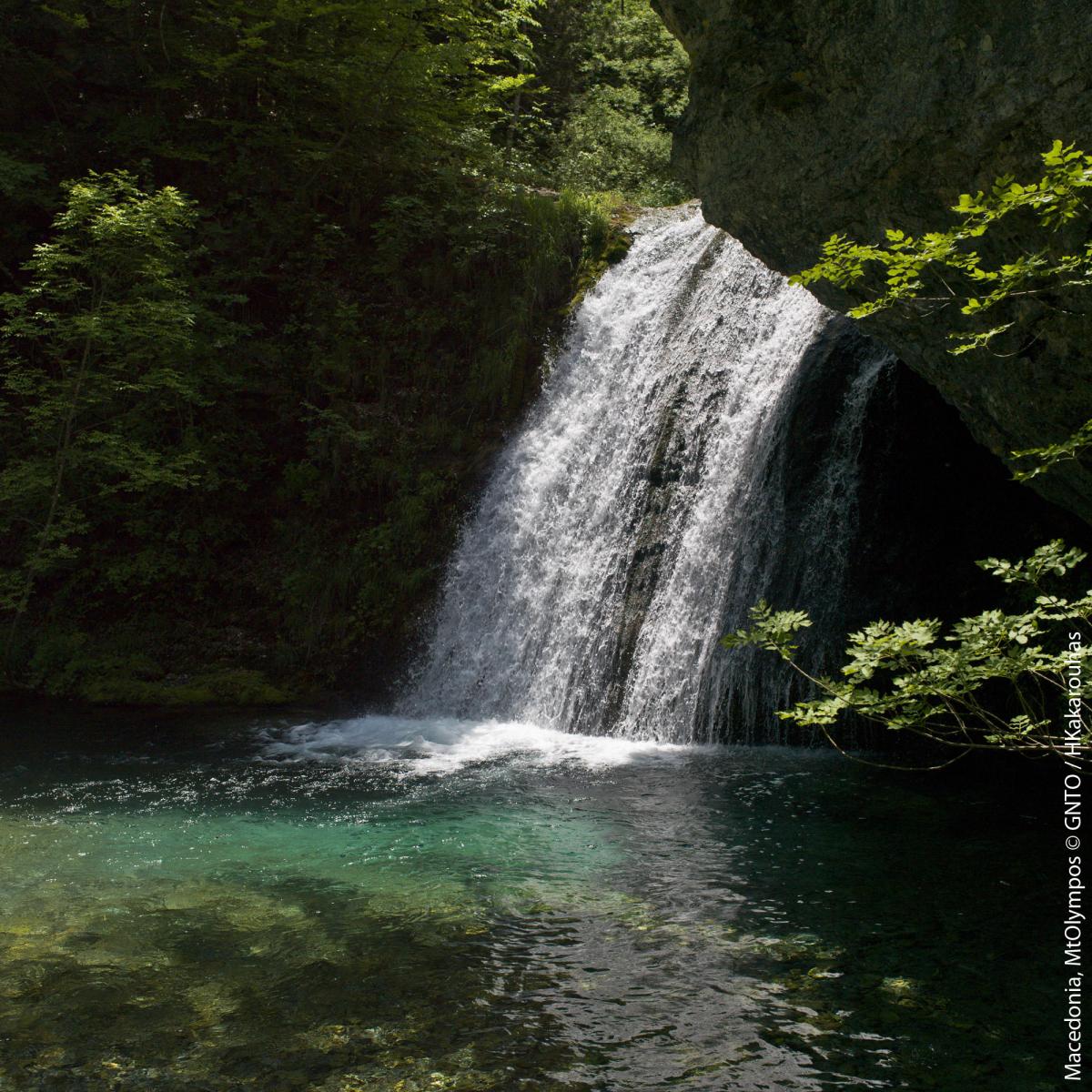 travelgo image