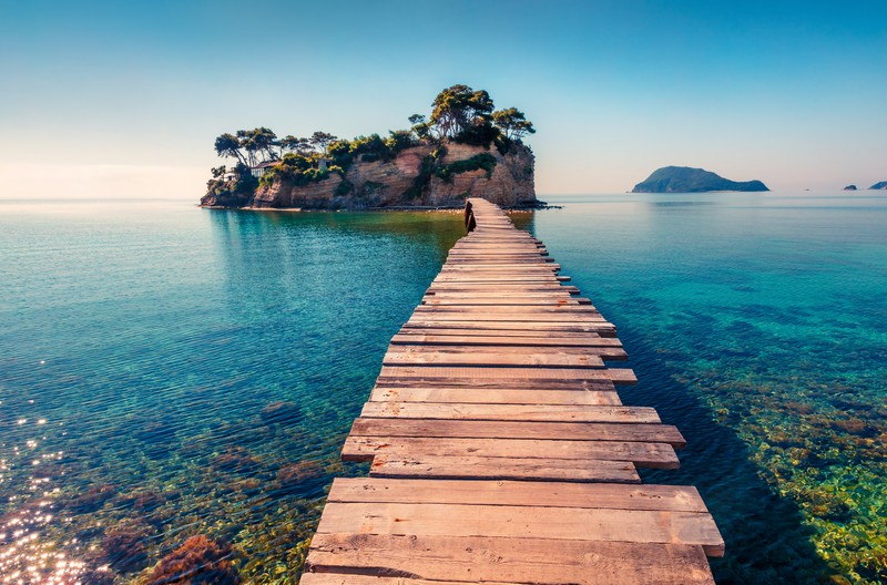 travelgo image
