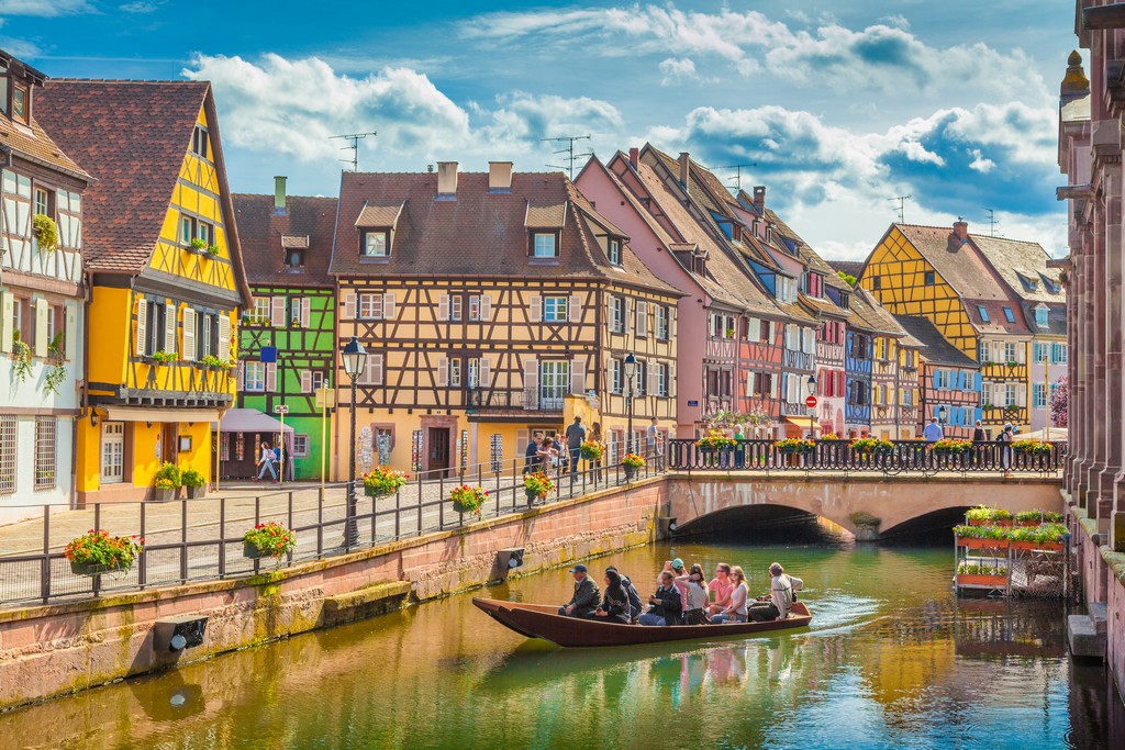 travelgo image