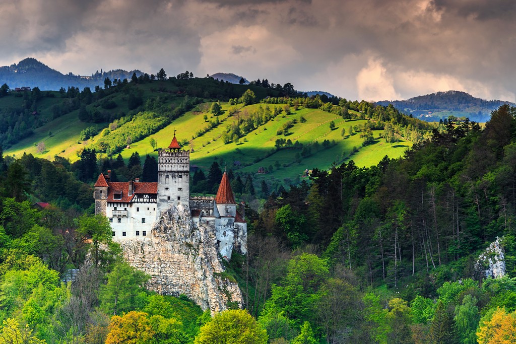 travelgo image
