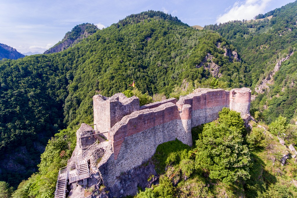 travelgo image