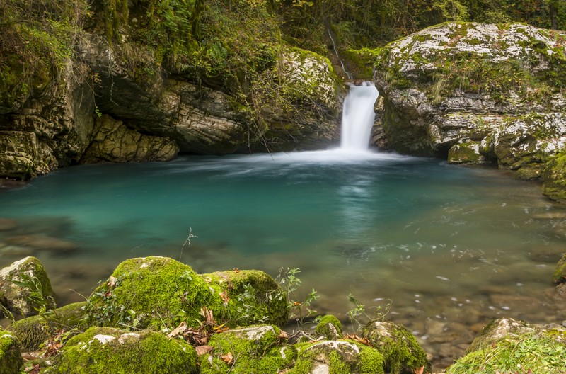 travelgo image