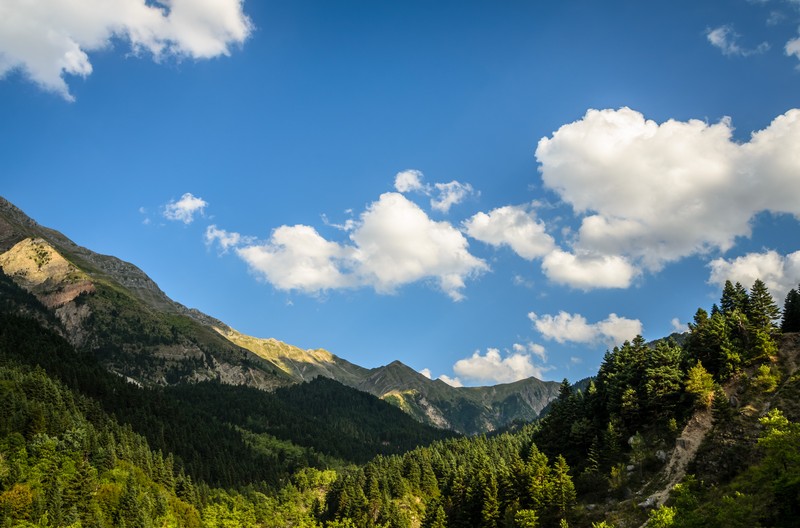 travelgo image