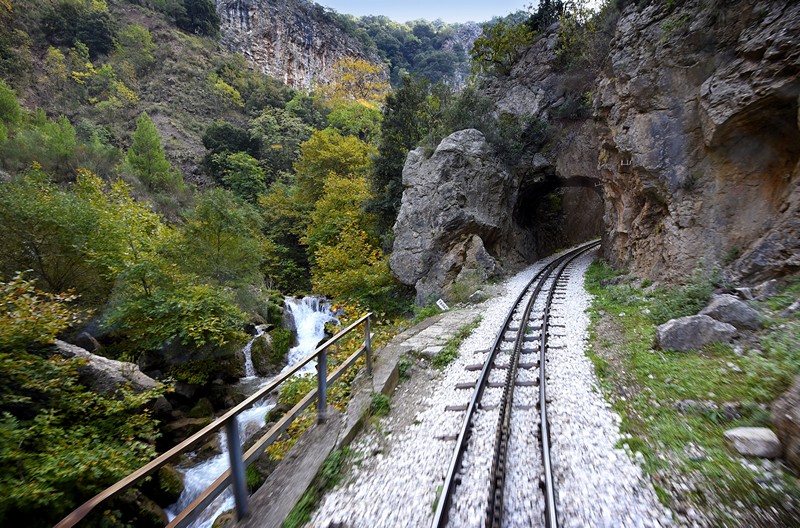 travelgo image