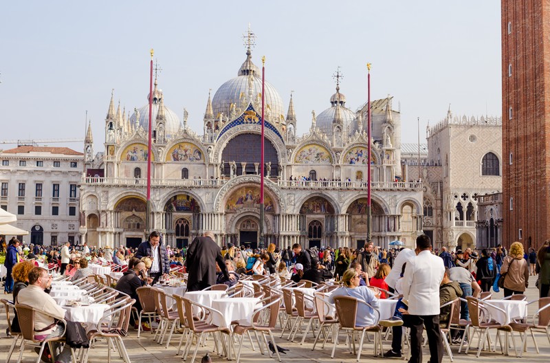 travelgo image