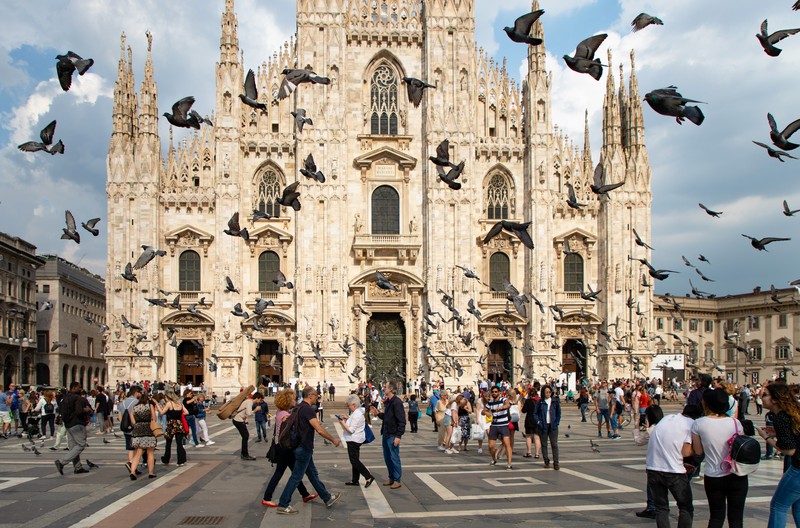 travelgo image