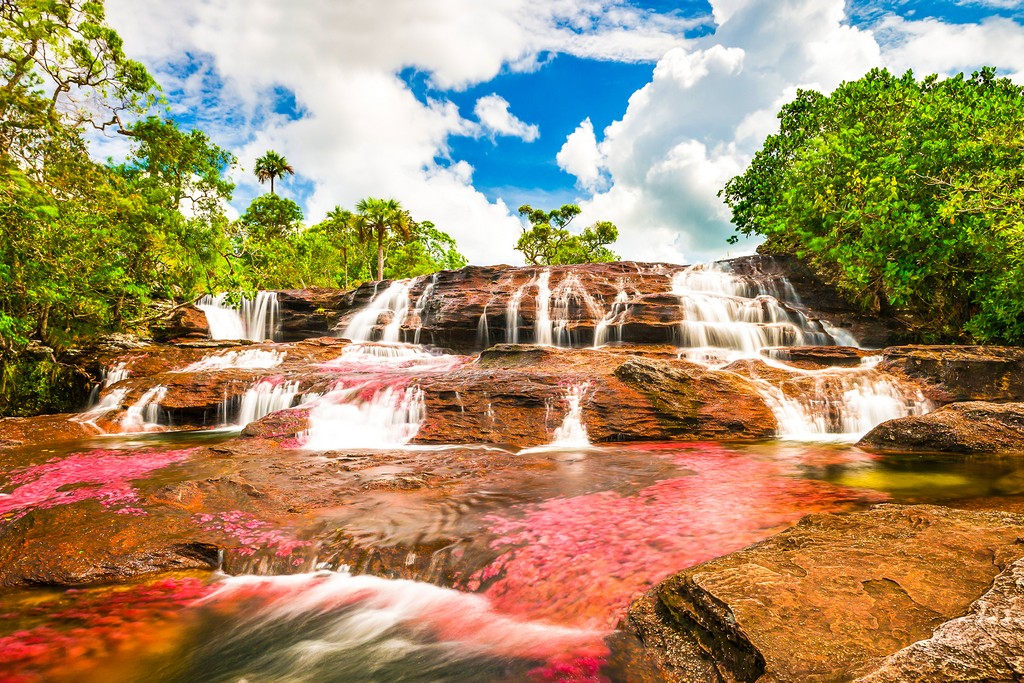 Caño Cristales, Κολομβία