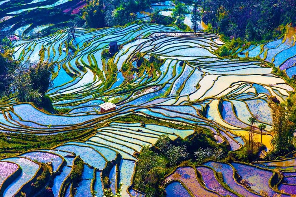 Ορυζώνες, Yuanyang, Κίνα