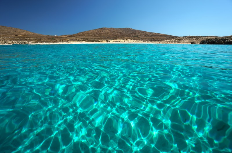 Ρήνεια
