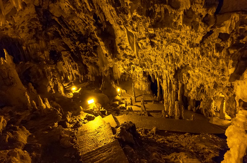 travelgo image