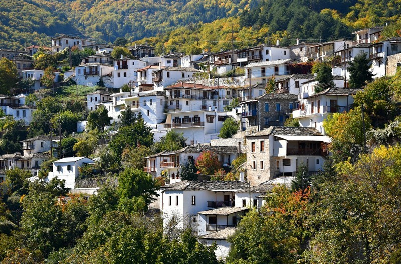 Καστάνιτσα, Πάρνωνας