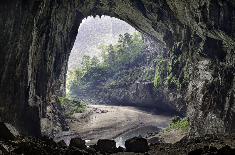 travelgo image