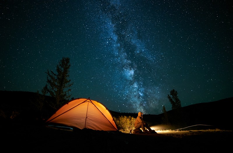 travelgo image