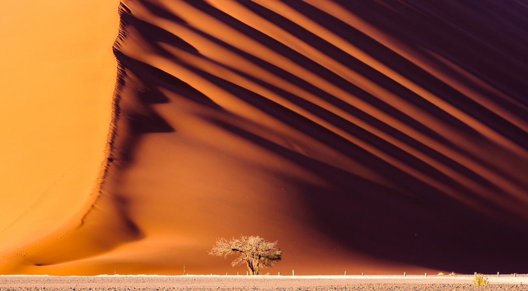 Αμμόλοφοι Ερήμου Namib, Ναμίμπια
