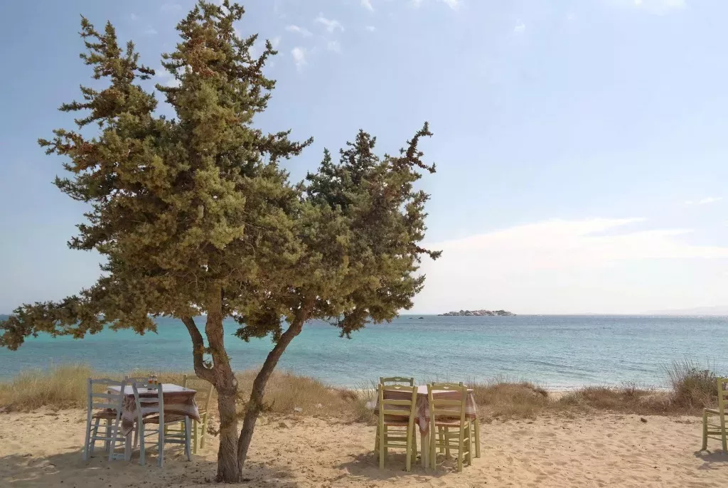 travelgo.gr