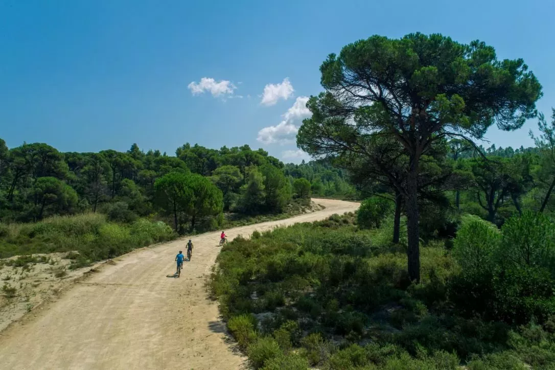 travelgo.gr