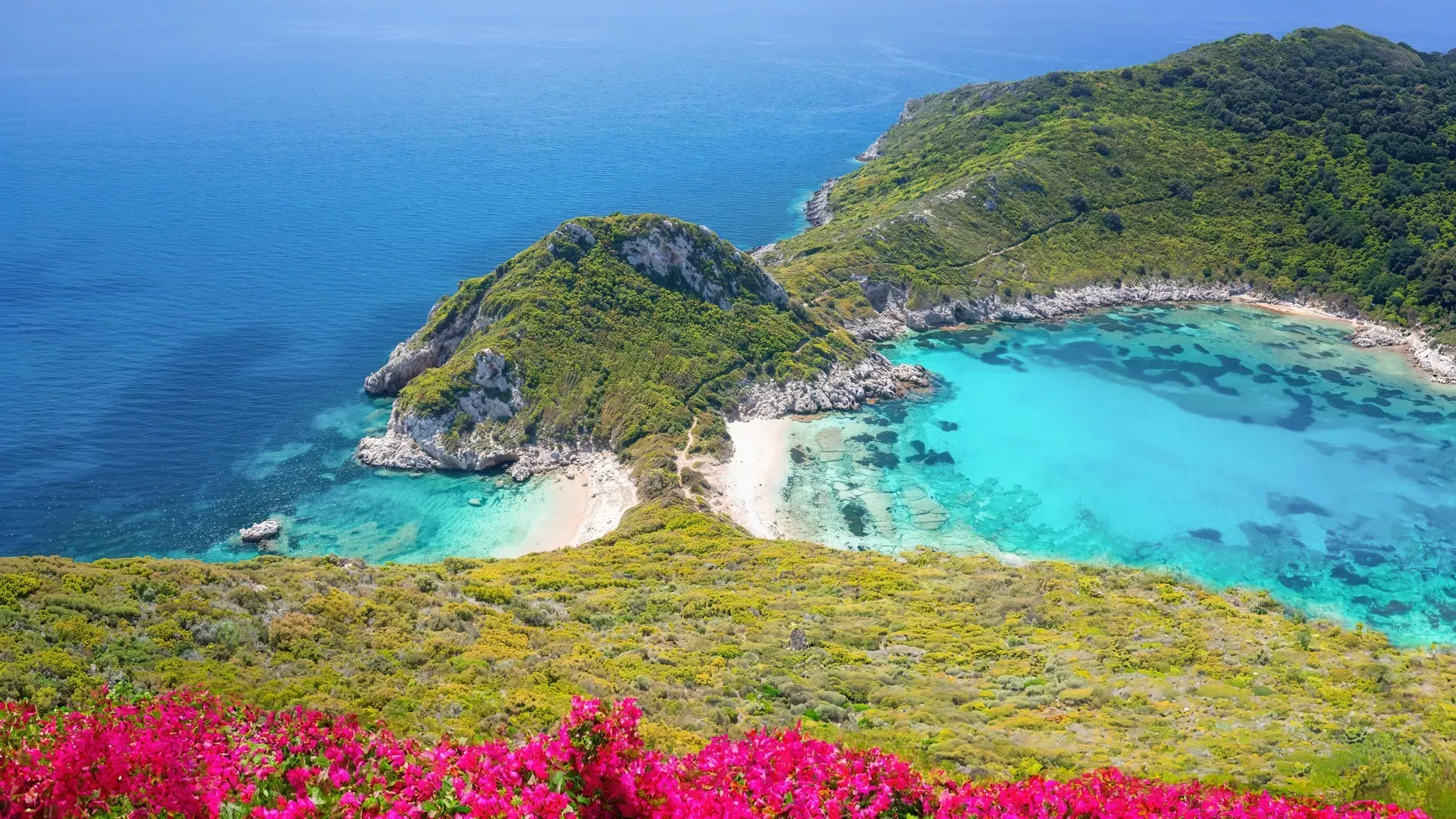 travelgo.gr