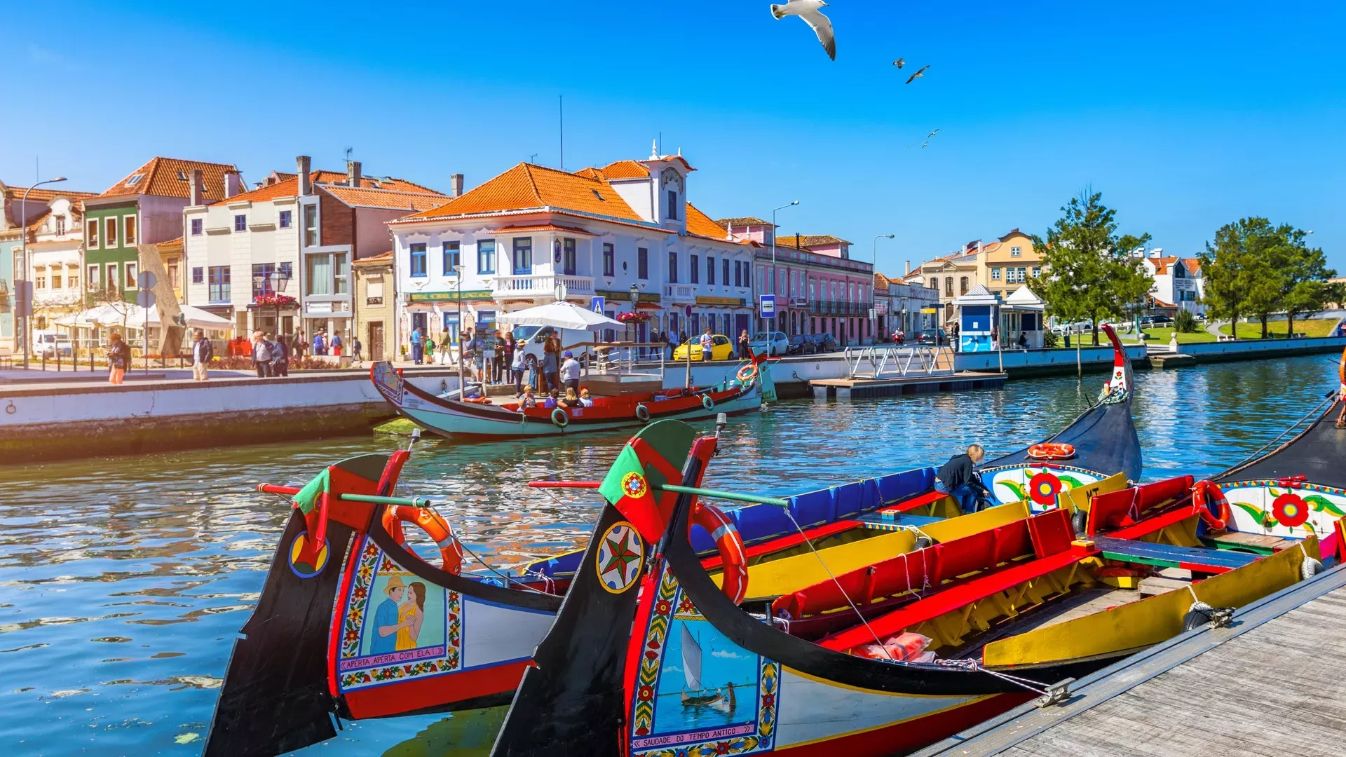 travelgo.gr