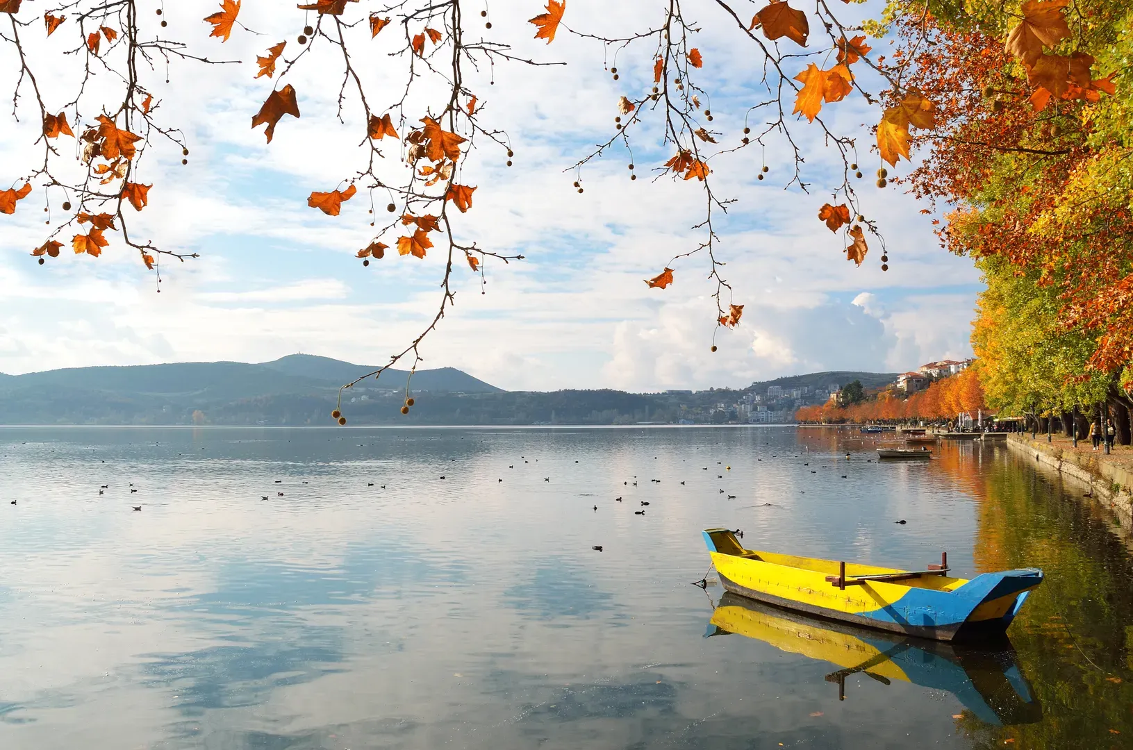 travelgo.gr