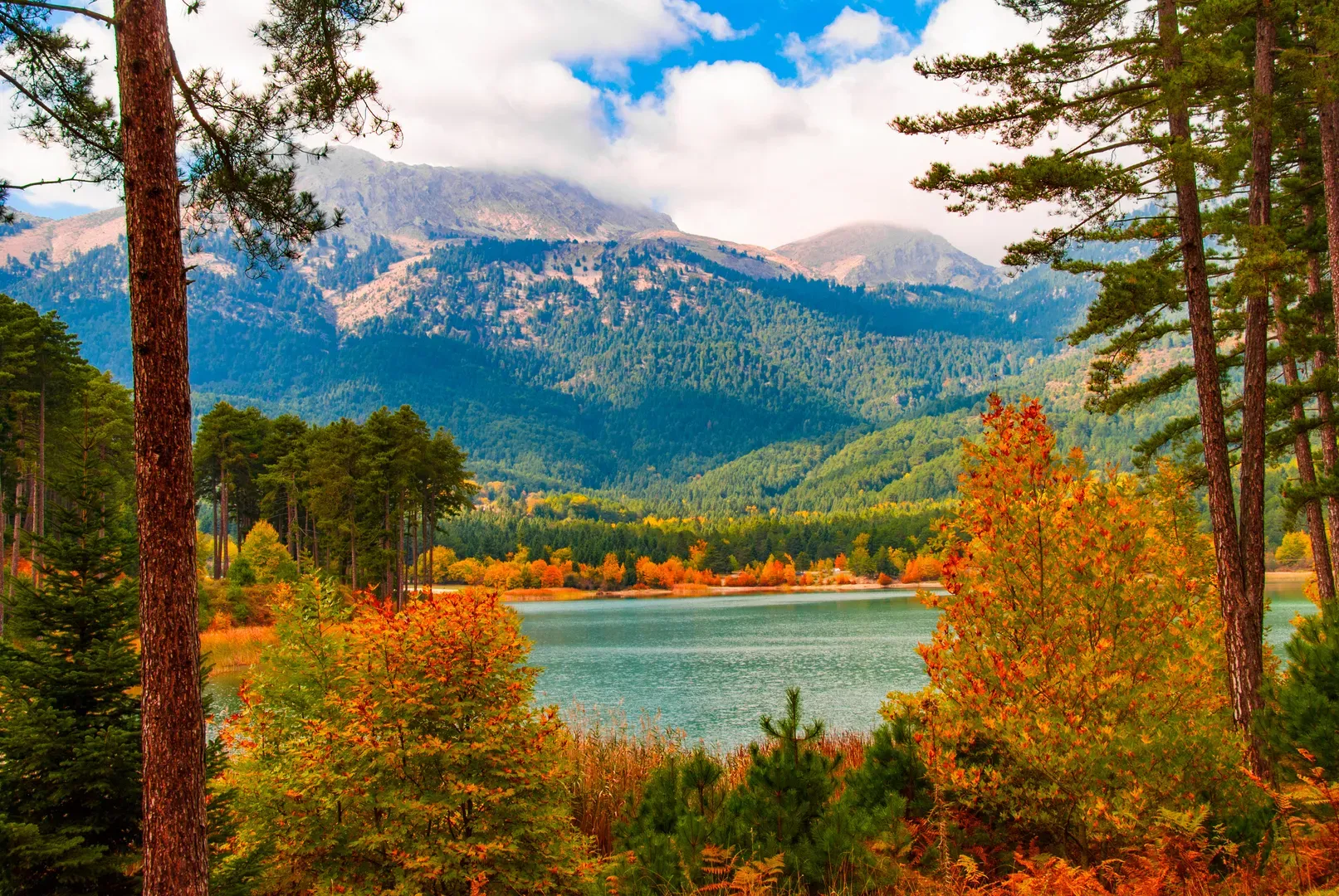 travelgo.gr