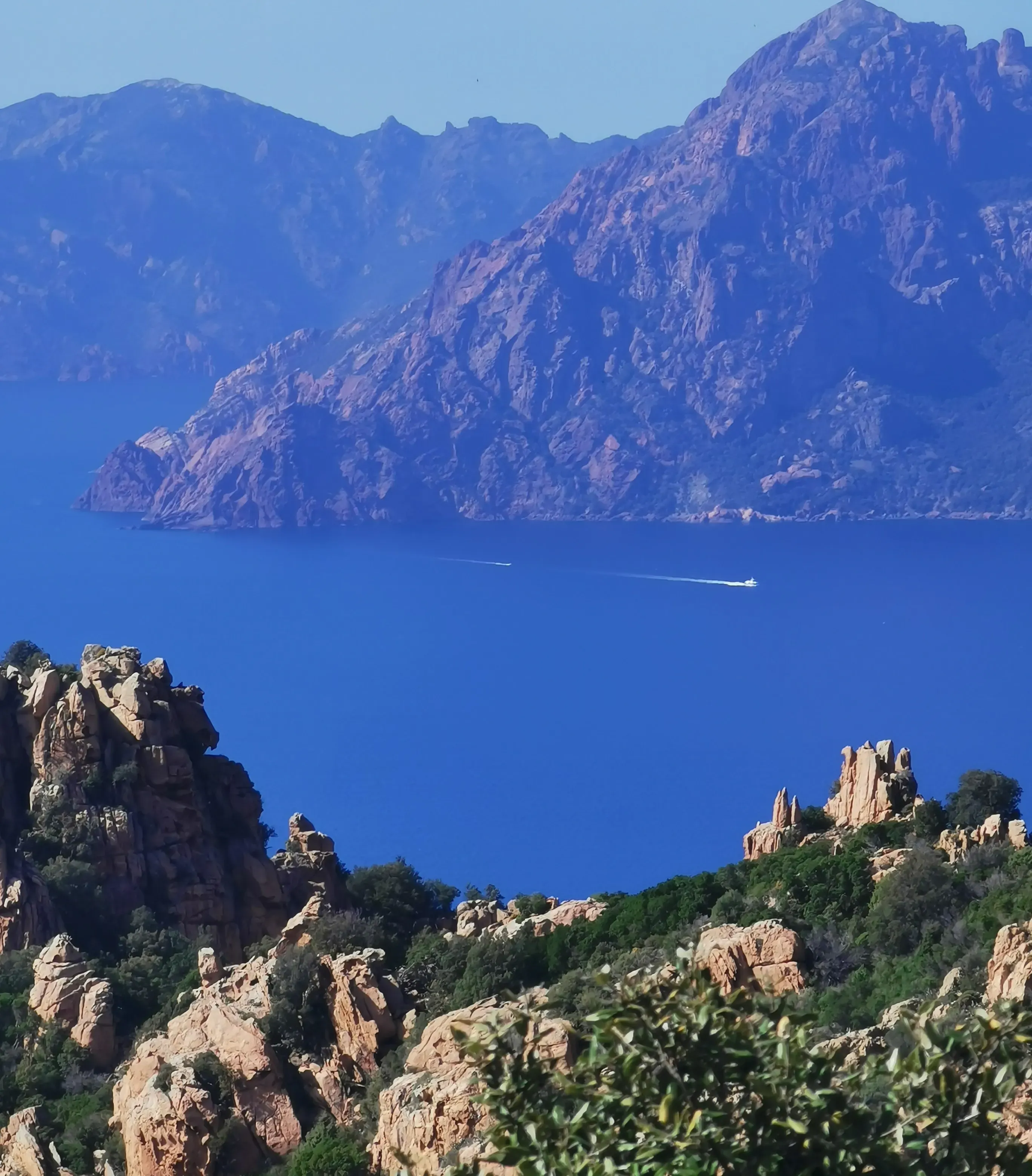 travelgo.gr
