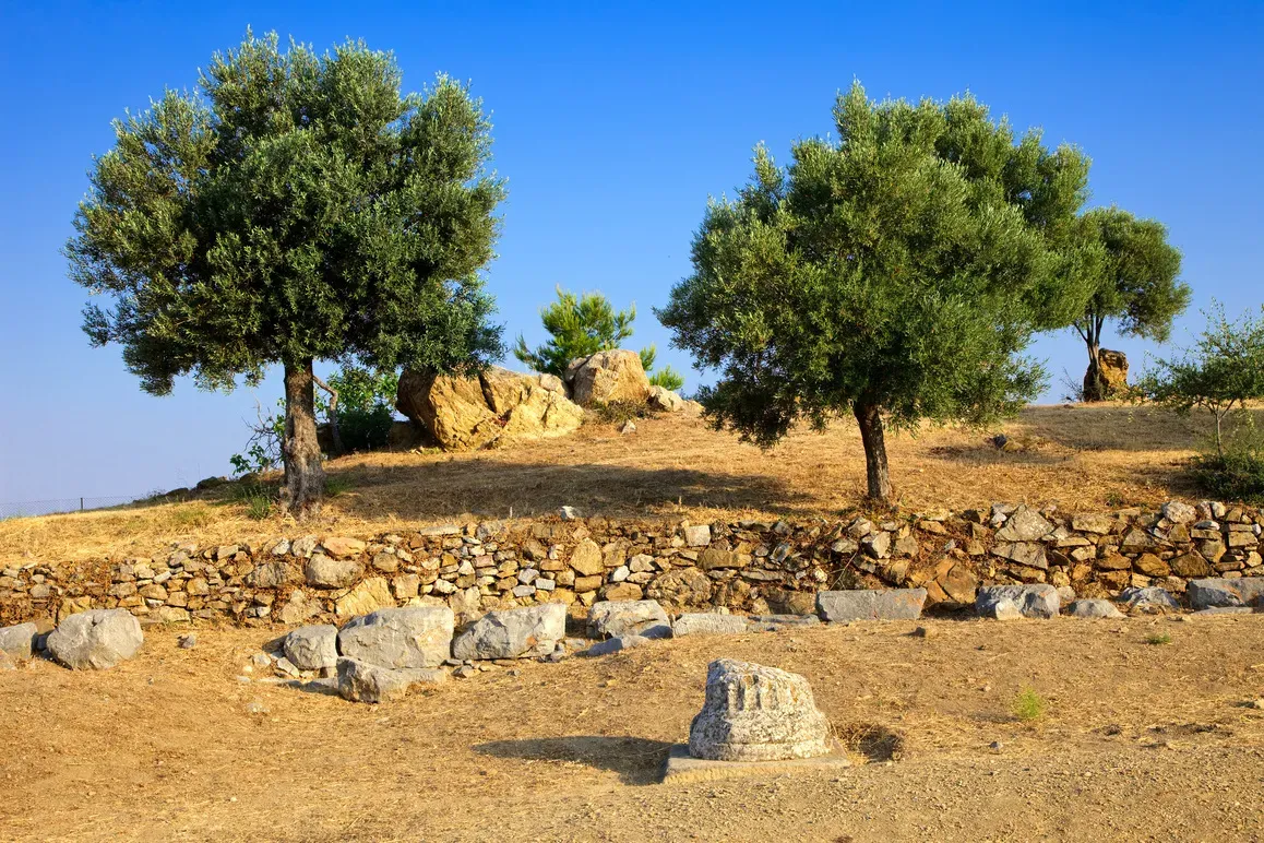 travelgo.gr