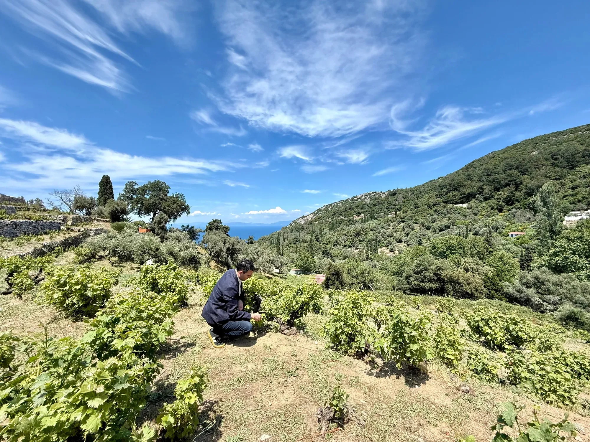 travelgo.gr