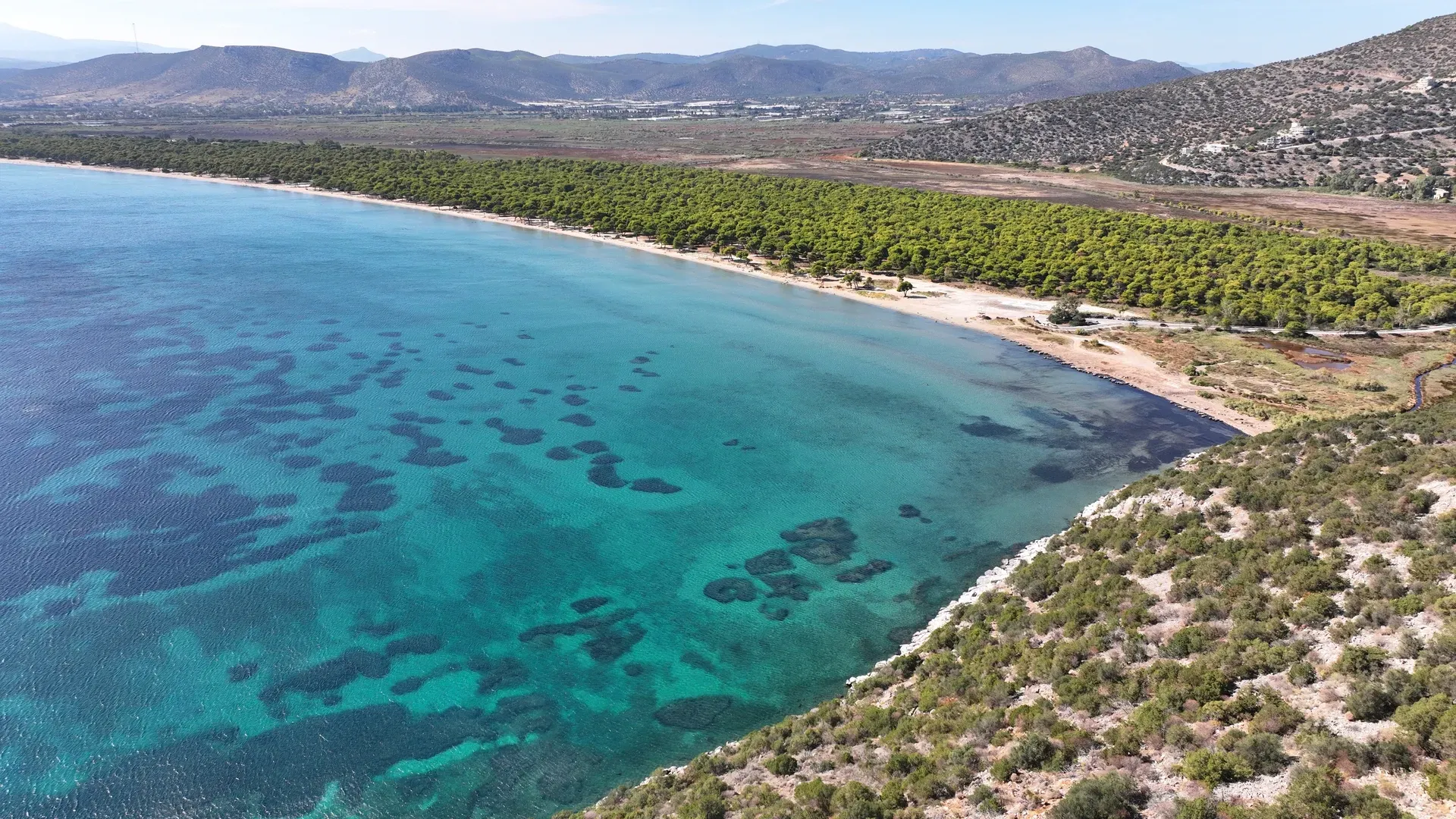 travelgo.gr