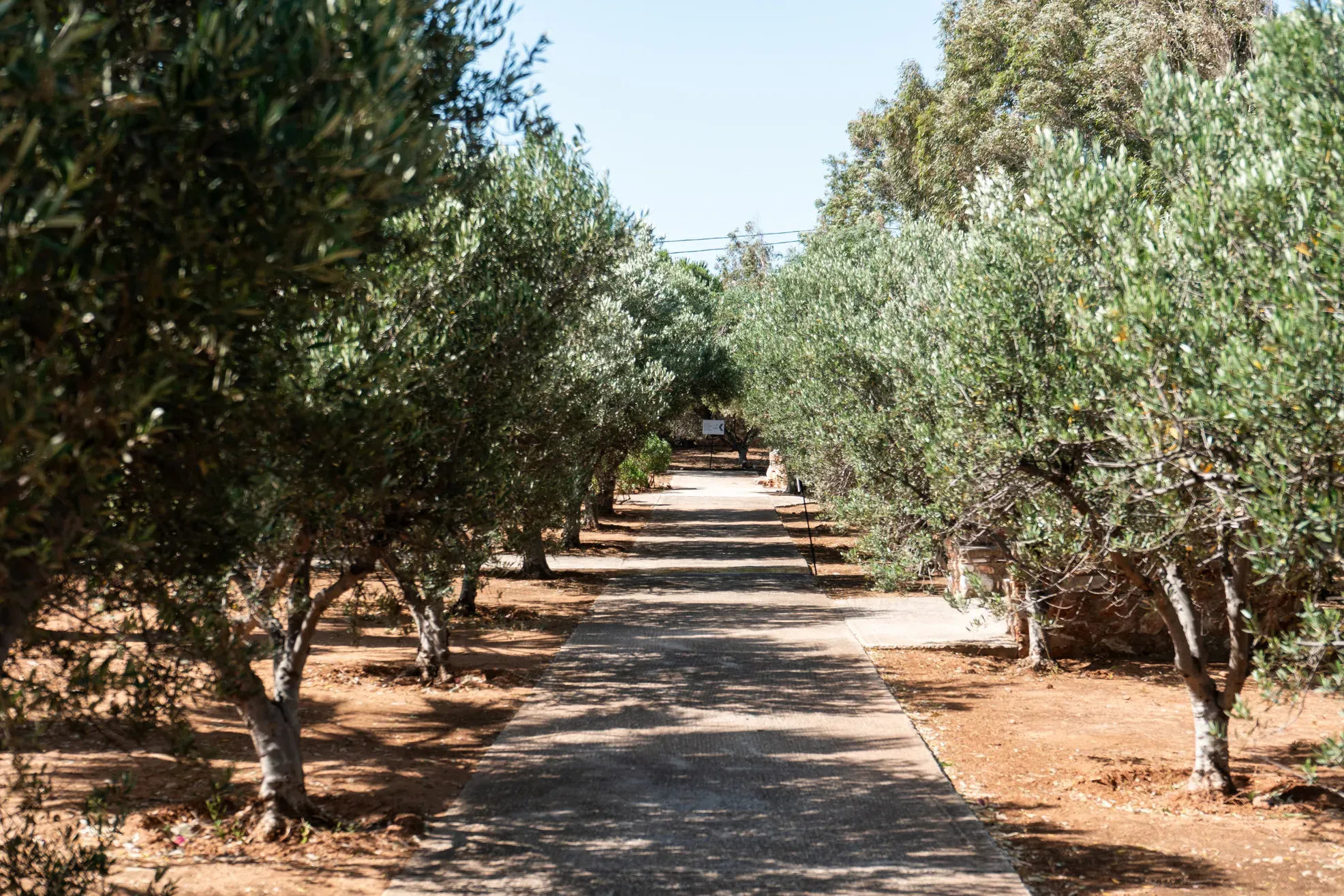 travelgo.gr