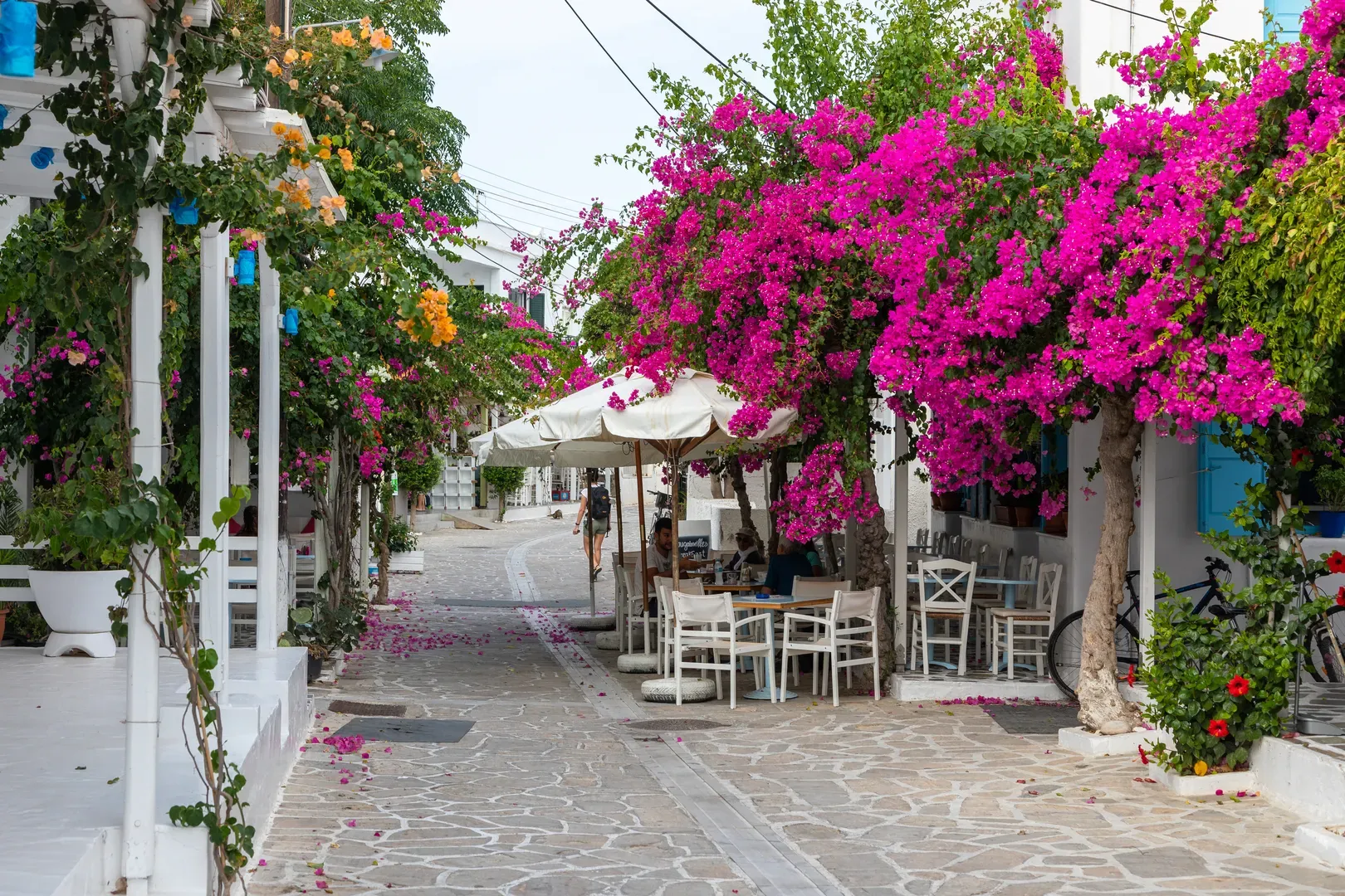 travelgo.gr