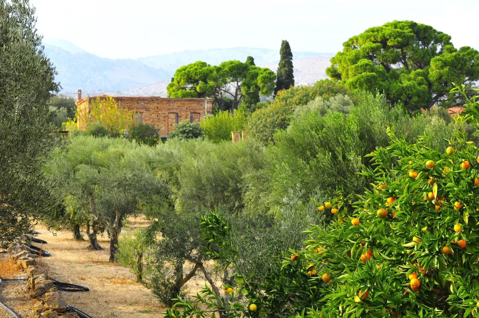 travelgo.gr