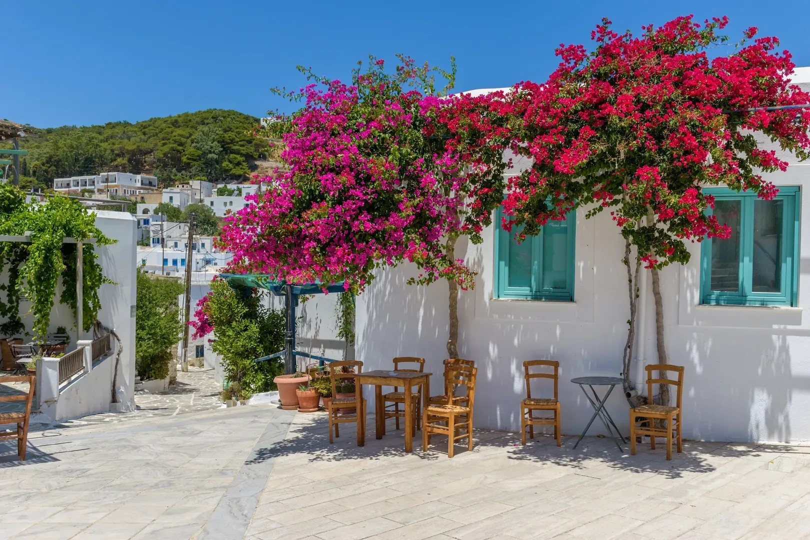 travelgo.gr