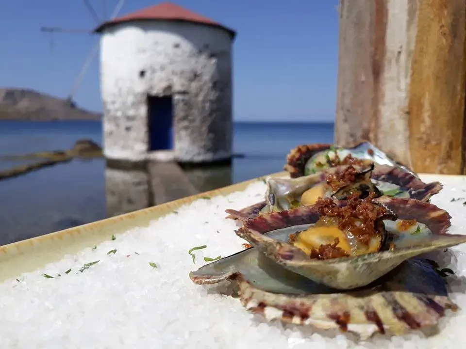 travelgo.gr