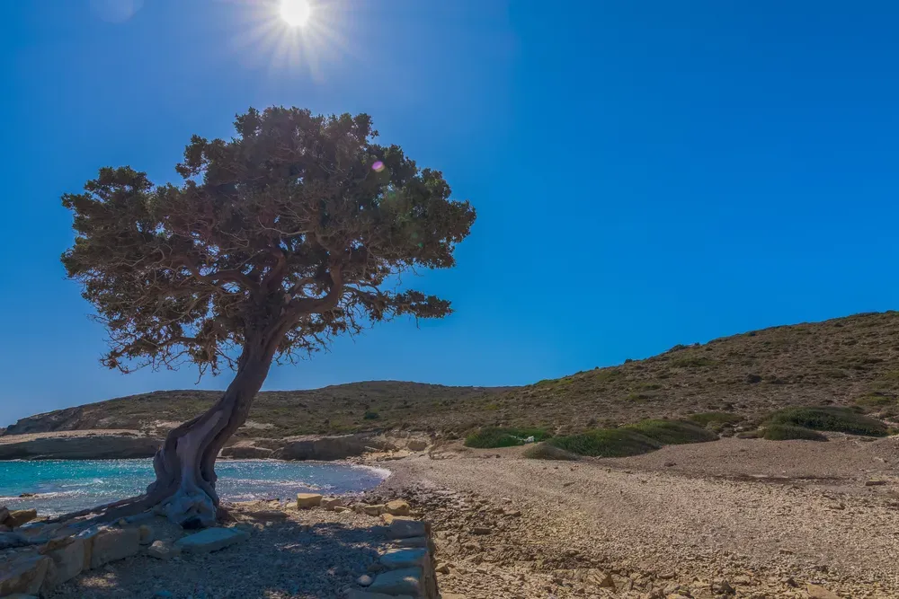 travelgo.gr