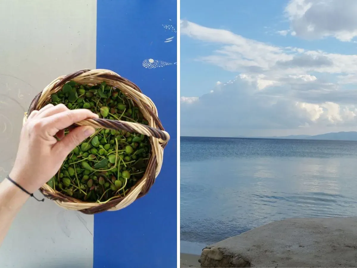travelgo.gr