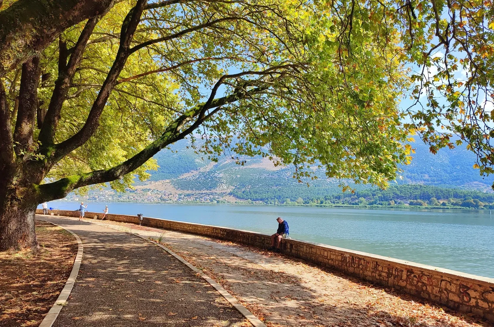 travelgo.gr