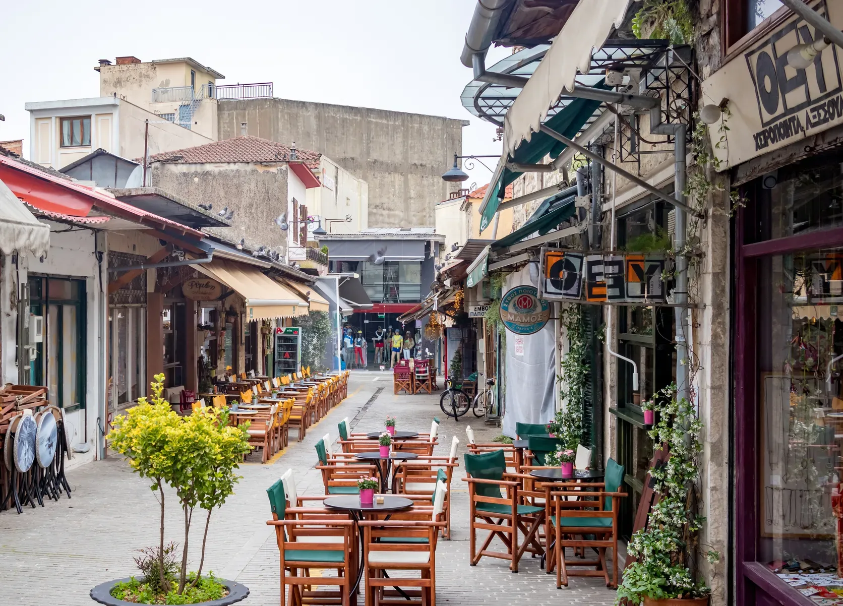 travelgo.gr