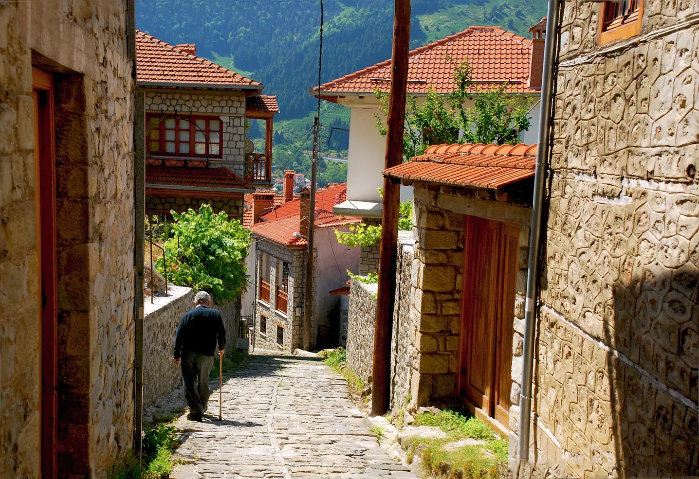 Metsovo