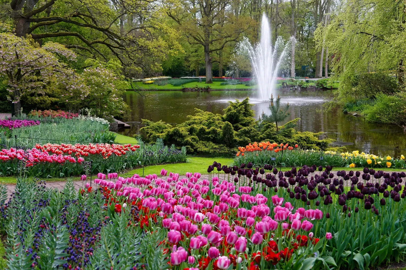 Keukenhof_Gardens