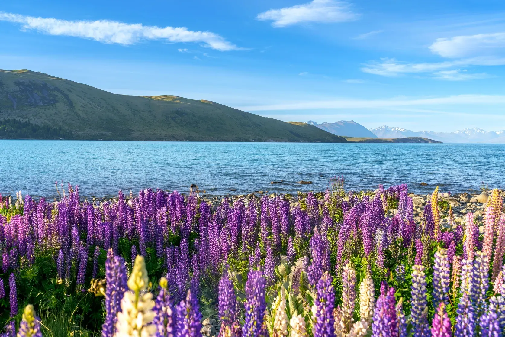Lake_Tekapo