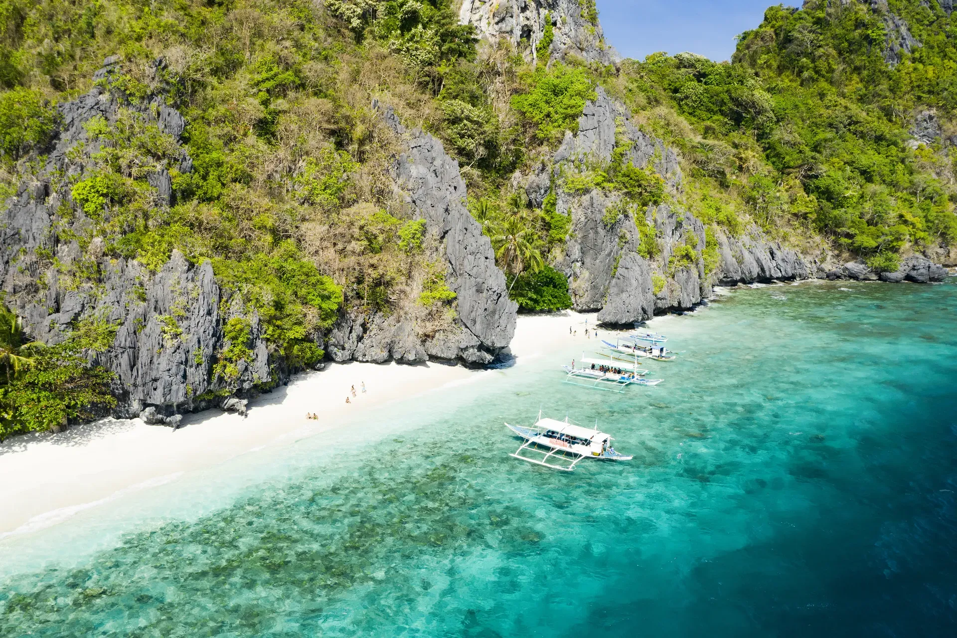 entalula_philippines