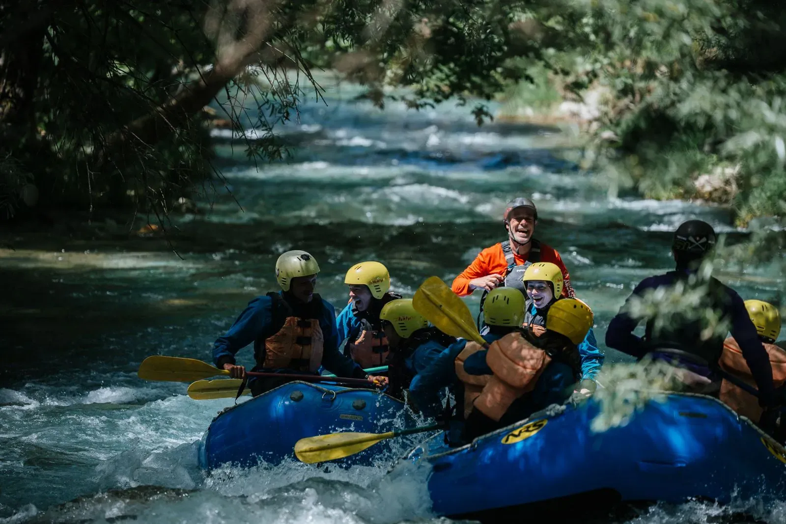 travelgo.gr