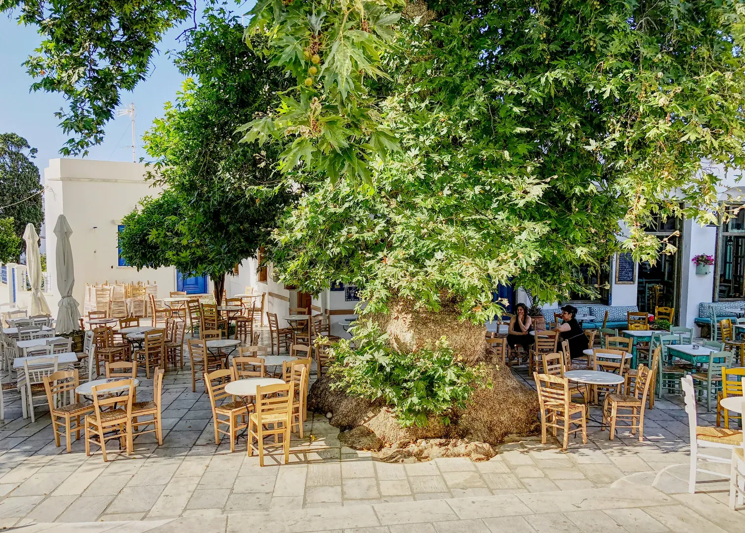 tinos