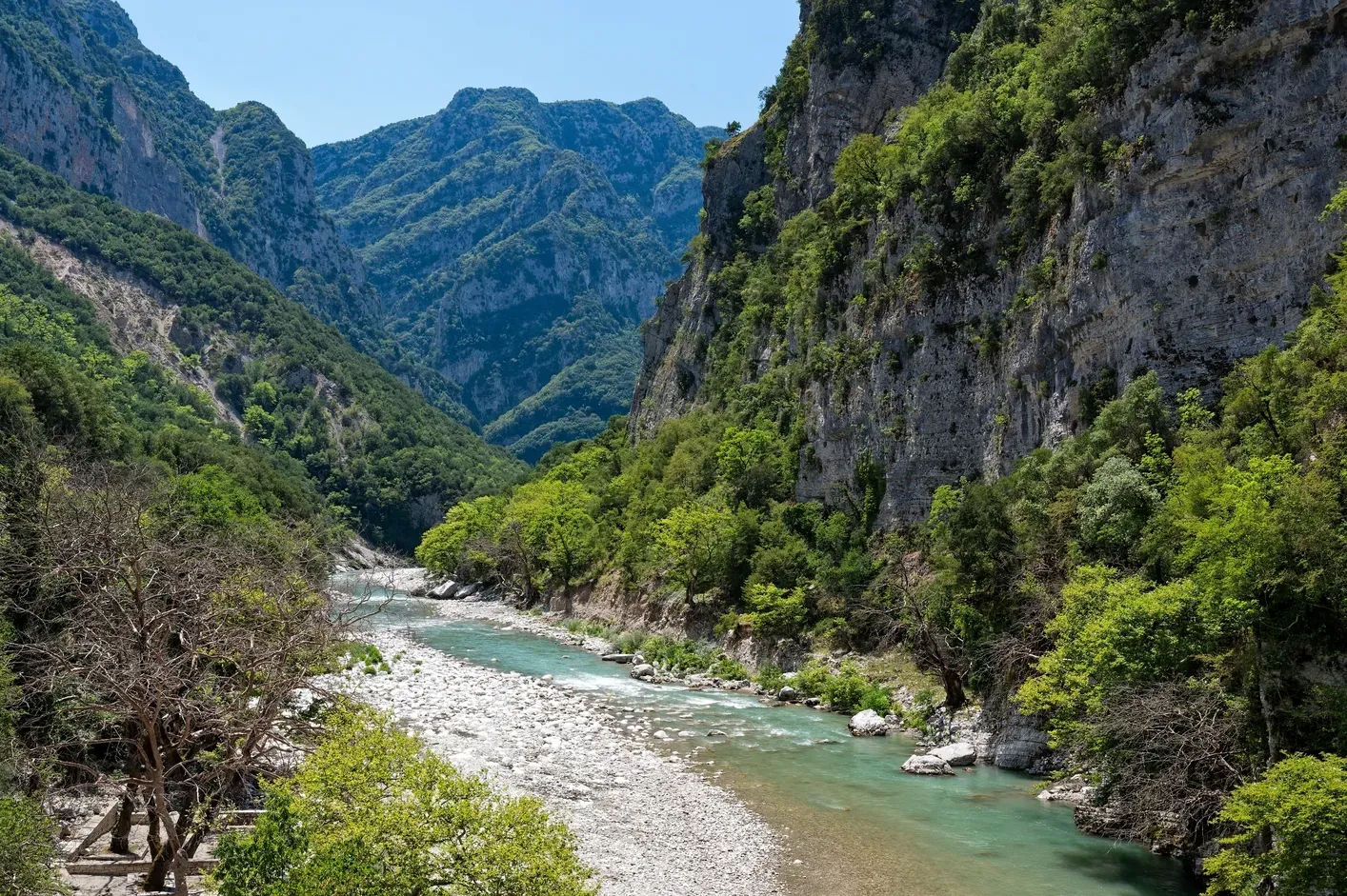 Arachthos