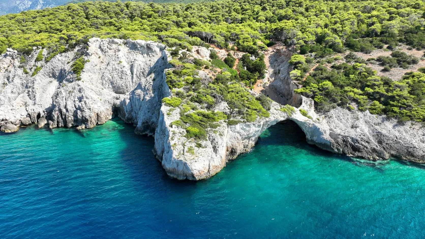 Spilia_Fokias