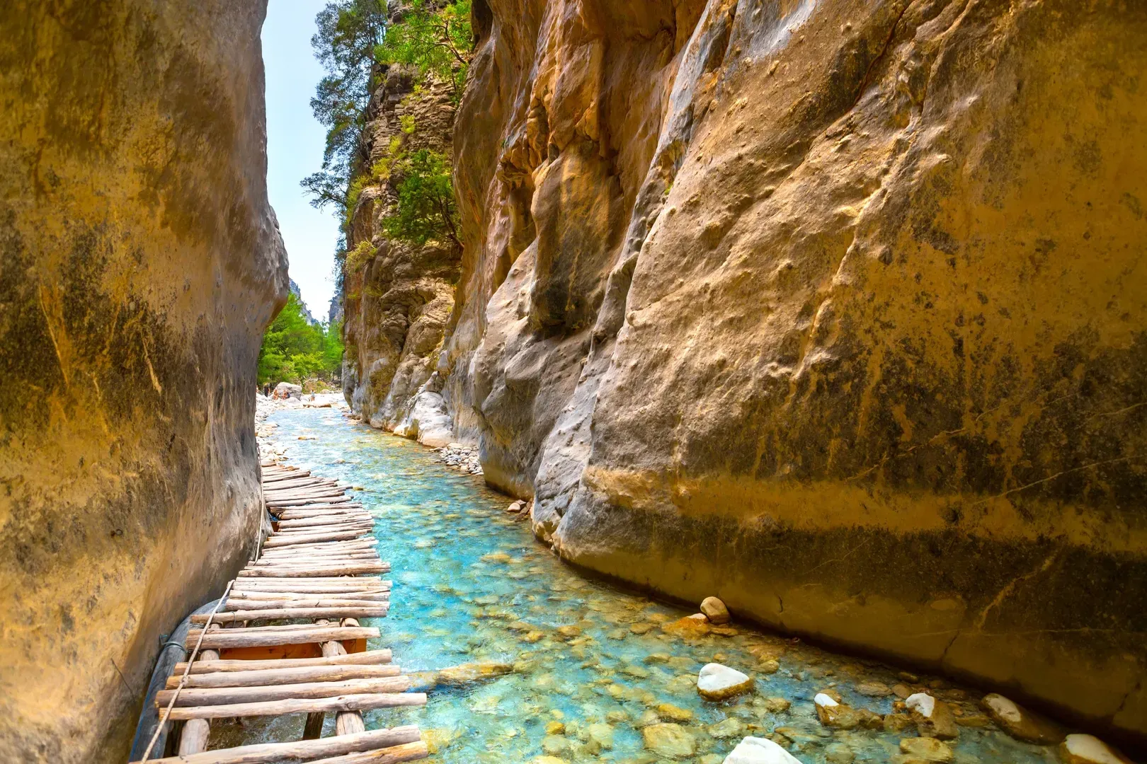 travelgo.gr