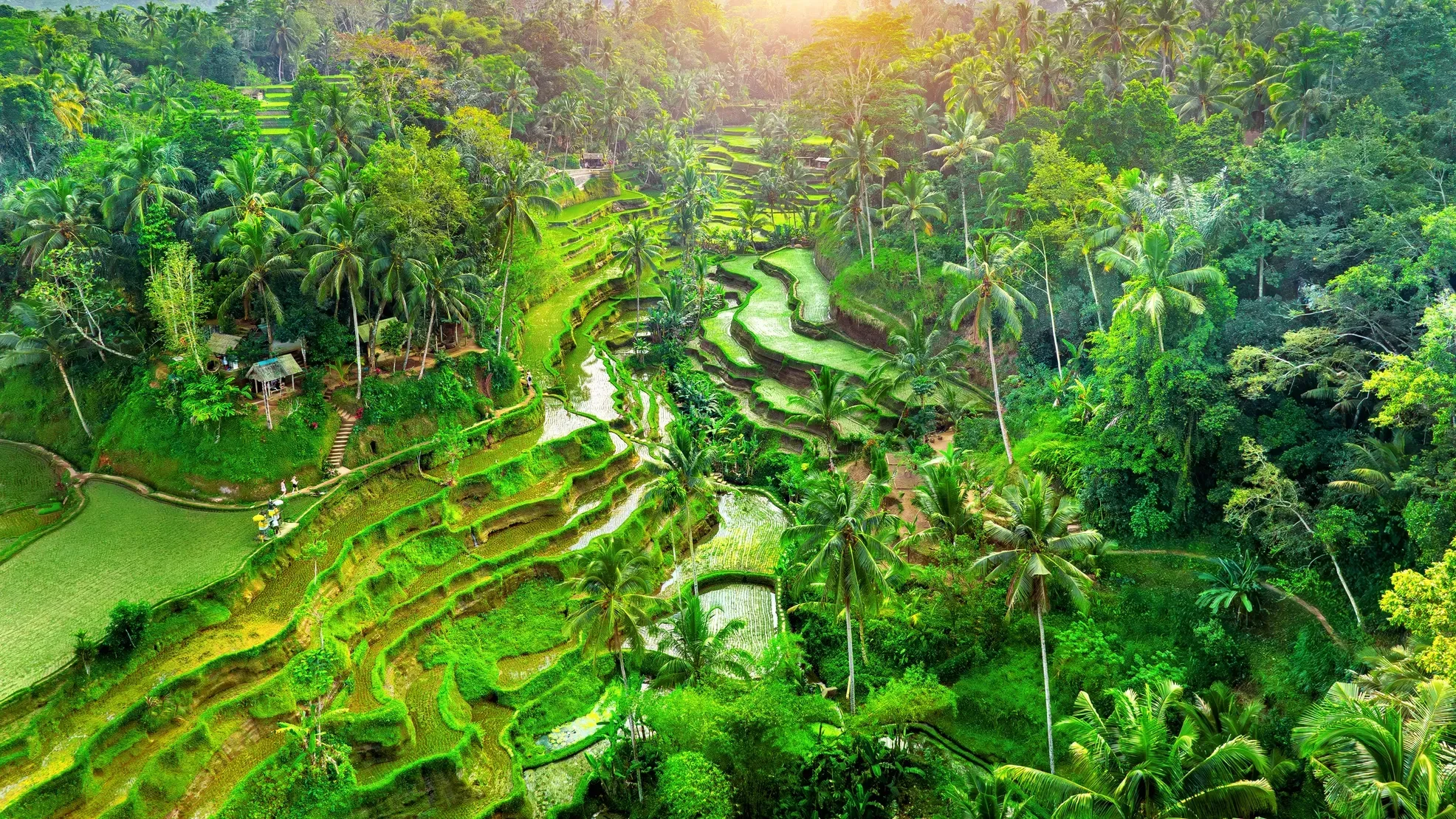 Bali