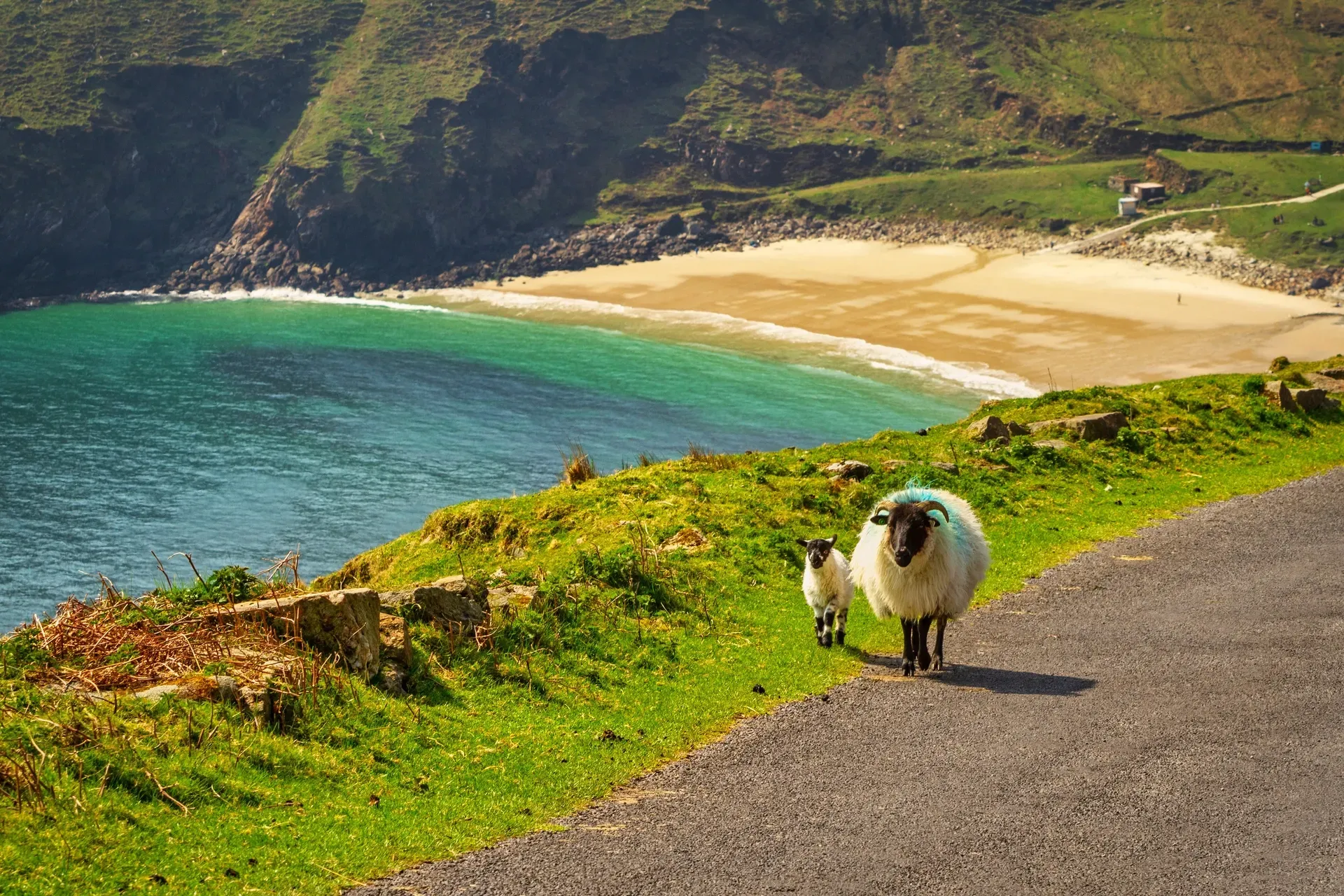 ireland