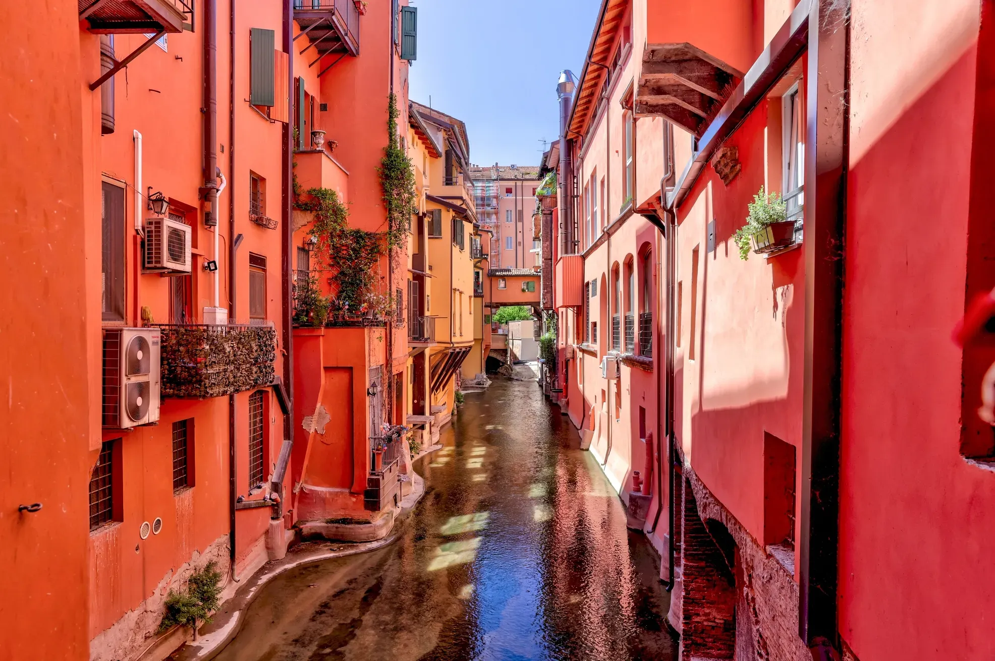 Bologna